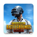 地铁逃生国际服pubg 202